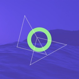 Shapely Companion 1.2.13 – WordPress Plugin