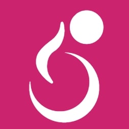 WP Accessibility Helper (WAH) 0.6.7 – WordPress Plugin