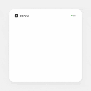 BrikPanel: WooCommerce Dashboard, Abandoned Cart Recovery, Google Sheets Sync, Inventory Management & Bulk Editor 3.3.26 – WordPress Plugin